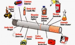 Quit Smoking | Helpful Tips, What is in Cigarette, Why is Smoking Dangerous or Harmful?