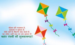 Happy Basant Panchmi Children Flying Kites,Beautiful kites Flying On Basant Panchmi